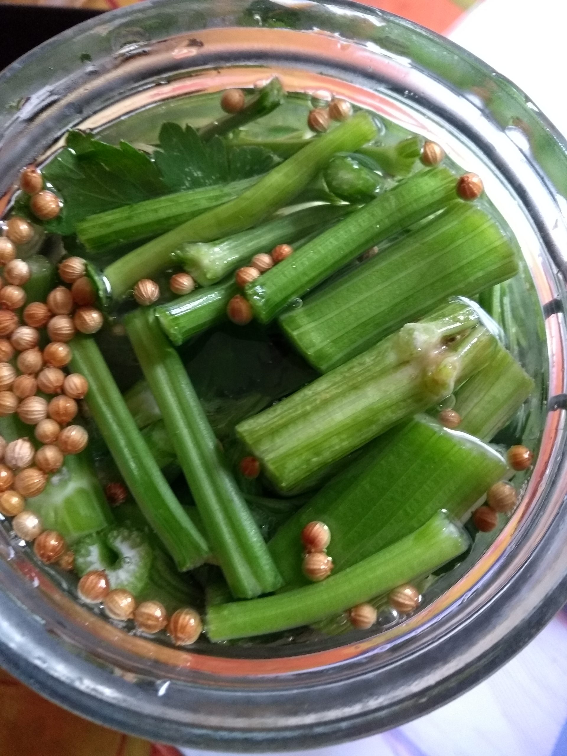 Pickles de céleri branche MassyMangerBio